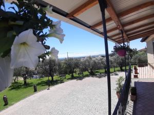 Zahrada ubytování B&B LE BACETTE