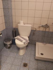 A bathroom at Ξενοδοχείο Acropol
