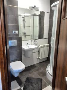a bathroom with a sink and a toilet and a mirror at Noclegi Tyczyn in Tyczyn
