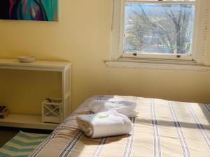 Gallery image of Kootingal Hotel in Kootingal