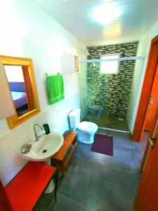 a bathroom with a sink and a shower with a toilet at Casablanca do Rosa in Praia do Rosa +34 photos