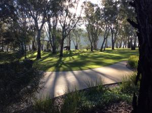 a path in a park with trees and grass at Winbi River Resort Holiday Rentals in Moama