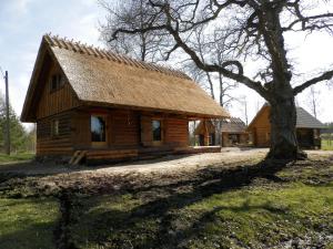 ein Blockhaus mit einem Baum davor in der Unterkunft Laugu Holiday Resort in Laugu