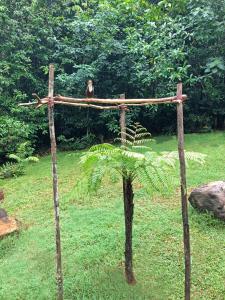 Gallery image of Shadow Grove Camping & Cabins Kitulgala in Kitulgala
