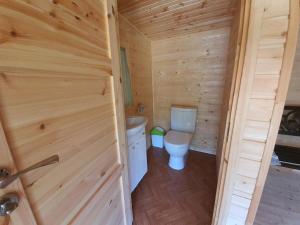 Ein Badezimmer aus Holz mit Toilette und Waschbecken in der Unterkunft Stainiškių slėnis in Aviliai + 88 Fotos