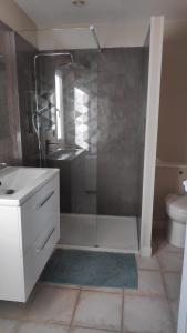 a bathroom with a shower with a sink and a toilet at Chambre privée tout confort in Conlie