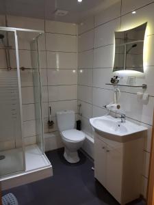 ein Badezimmer mit Toilette, Waschbecken und Dusche in der Unterkunft Quartier am Fluss in Schwarzburg