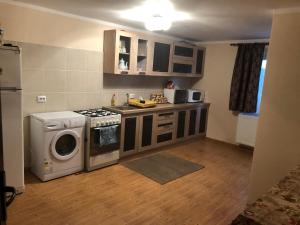 a kitchen with a washing machine and a washer at Cabana Vlad 1 in Piatra Fantanele