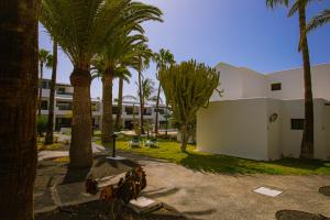 ein Gebäude mit Palmen davor in der Unterkunft Paradise Club in Puerto del Carmen