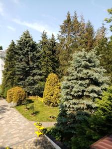 a tree with white flowers on it in a yard at Bukowe Zacisze in Gąski