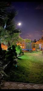 un parque por la noche con una palmera y un semáforo en Ararat House, en Tsandrypsh