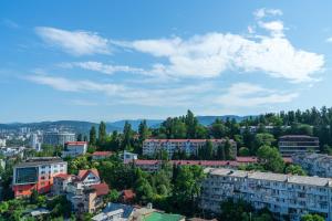 Gallery image of Denart Hotel in Sochi