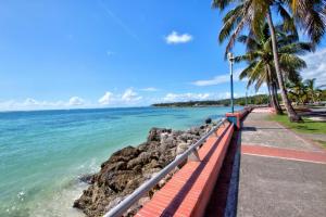 a sidewalk next to the ocean with palm trees at Appartement tout confort in Sainte-Anne