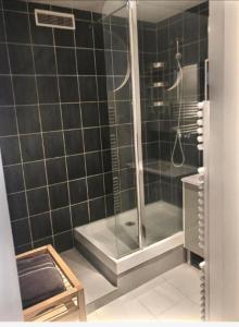 a bathroom with a shower with a glass door at Le Grandthille in Chalons en Champagne