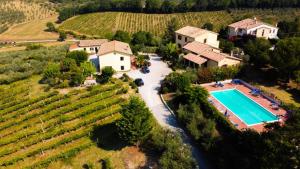 an aerial view of a house with a swimming pool and a vineyard at Cardinal Girolamo in Montefalco