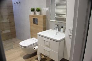 Kúpeľňa v ubytovaní Apartament Wspólna19 (Centrum, garaż podziemny, klimatyzacja )
