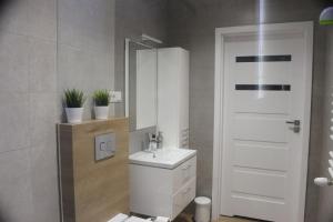 Kúpeľňa v ubytovaní Apartament Wspólna19 (Centrum, garaż podziemny, klimatyzacja )
