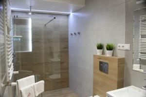 Kúpeľňa v ubytovaní Apartament Wspólna19 (Centrum, garaż podziemny, klimatyzacja )