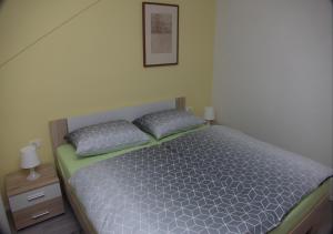 Postel nebo postele na pokoji v ubytování Apartmaji Anita