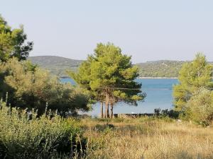 Príroda v okolí penziónu
