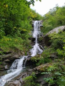 a waterfall in the middle of a forest at RIVAROLA in Fanano