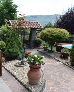 a garden with a pot of flowers and a pool at Baita La Stradella in Serravalle