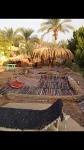 a large rug with a straw umbrella and a table at Elbadawy camp in Nuweiba