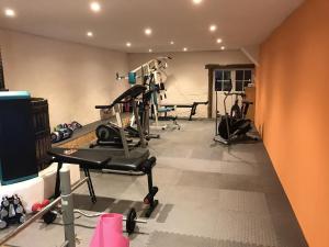 Fitness centrum a/nebo fitness zařízení v ubytování Au Plech