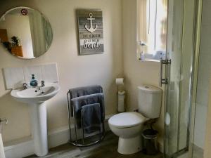 a bathroom with a toilet and a sink and a mirror at Chapel St Apartments in Caernarfon