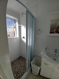 W łazience znajduje się prysznic i umywalka. w obiekcie Chelmsford Cottage w mieście Port Elizabeth