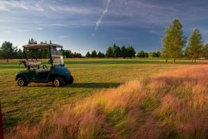 Fotografia z galérie ubytovania Darovanský Dvůr - Wellness & Golf Hotel v Břasoch