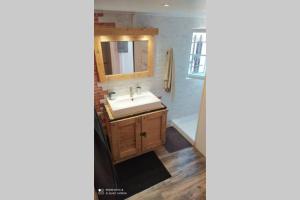 a bathroom with a sink and a mirror at Appartement tout confort au calme in Mouguerre +11 photos