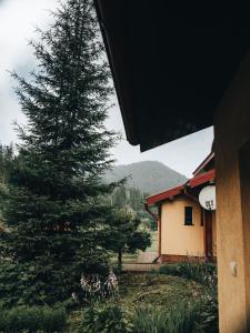 Gallery image of Котедж "Romanna" in Slavske