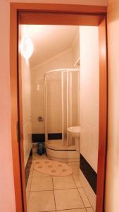スラブスクにあるКотедж "Romanna"のバスルーム(シャワー、トイレ、シンク付)