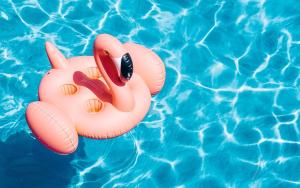 Kolam renang di atau dekat dengan Best Life Apart Hotel +25 gambar