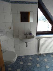a bathroom with a toilet and a sink at Ferienhaus Dampferblick in Meißen