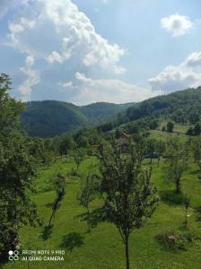 茲拉蒂博爾的住宿－Vikendica Kostic，绿地,有树木和山脉
