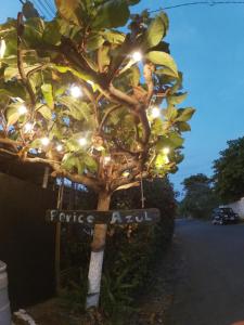a tree with lights on the side of a street at Hotel Perico Azul & Surf Camp in Jacó