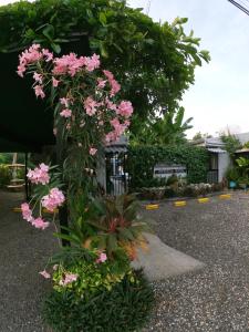 a bunch of pink flowers on a pole at Hotel Perico Azul & Surf Camp in Jacó