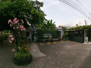 a garden with a tree with pink flowers at Hotel Perico Azul & Surf Camp in Jacó