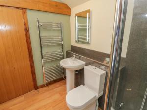 ein Badezimmer mit Toilette, Waschbecken und Dusche in der Unterkunft Yeoman's Cottage in Pickering + 8 Fotos