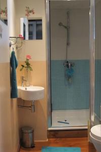 un baño con ducha y lavabo en Wild Roses, en Ámsterdam
