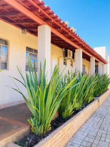 a row of plants in front of a building at Hotel Pousada Marra in Catalão