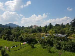 Príroda v okolí apartmánu
