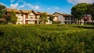 ブラガンサ・パウリスタにあるHotel Villa Santo Agostinhoの建物前の黄花畑