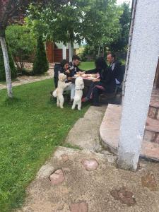 een groep mensen die rond een tafel zitten met twee honden bij Holiday Home Vile Calimero in Žabljak