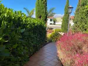 Zdjęcie z galerii obiektu La Quinta Suite Home Share w mieście Santa Úrsula