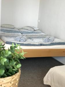 Letto o letti in una camera di Pension Crhan