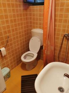 A bathroom at Brvnara na obali reke Drine