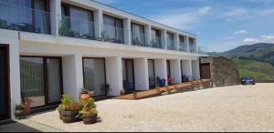 a building with potted plants in front of it at Imaginário D'El Rei - Guest House in Mesão Frio